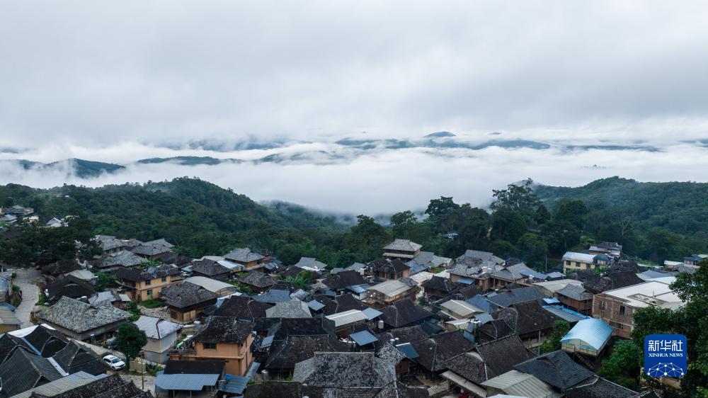 完善资料自助领彩金